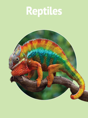 cover image of Reptiles
